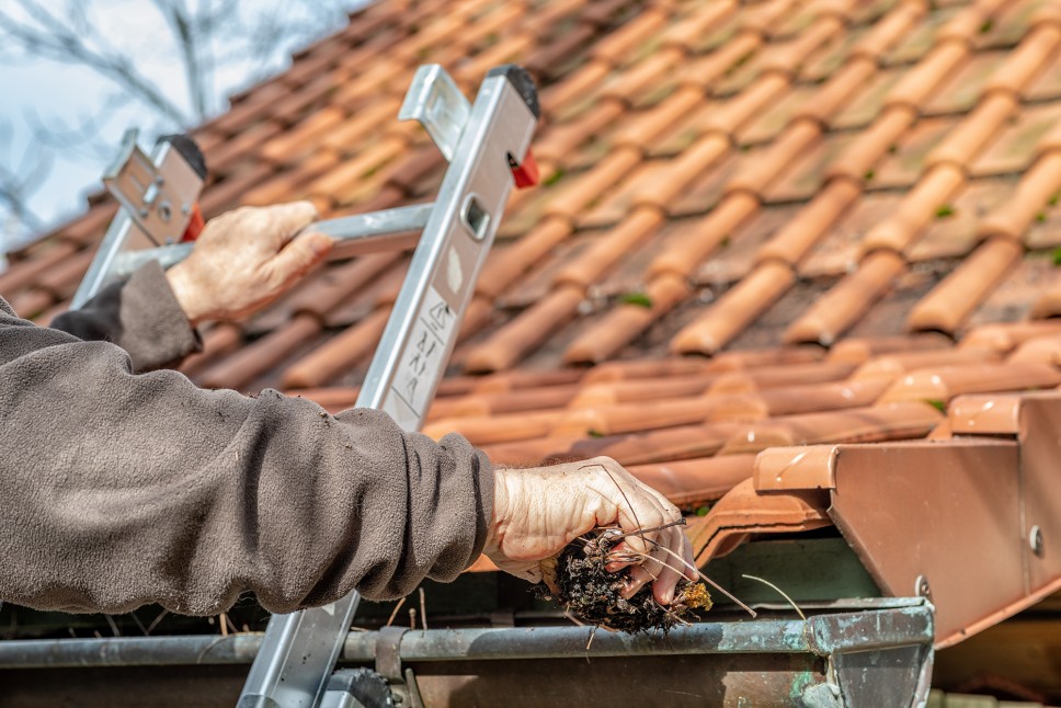 A man on a ladder cleaning out debris and leaves from his gutters with his hands.